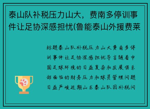 泰山队补税压力山大，费南多停训事件让足协深感担忧(鲁能泰山外援费莱尼)